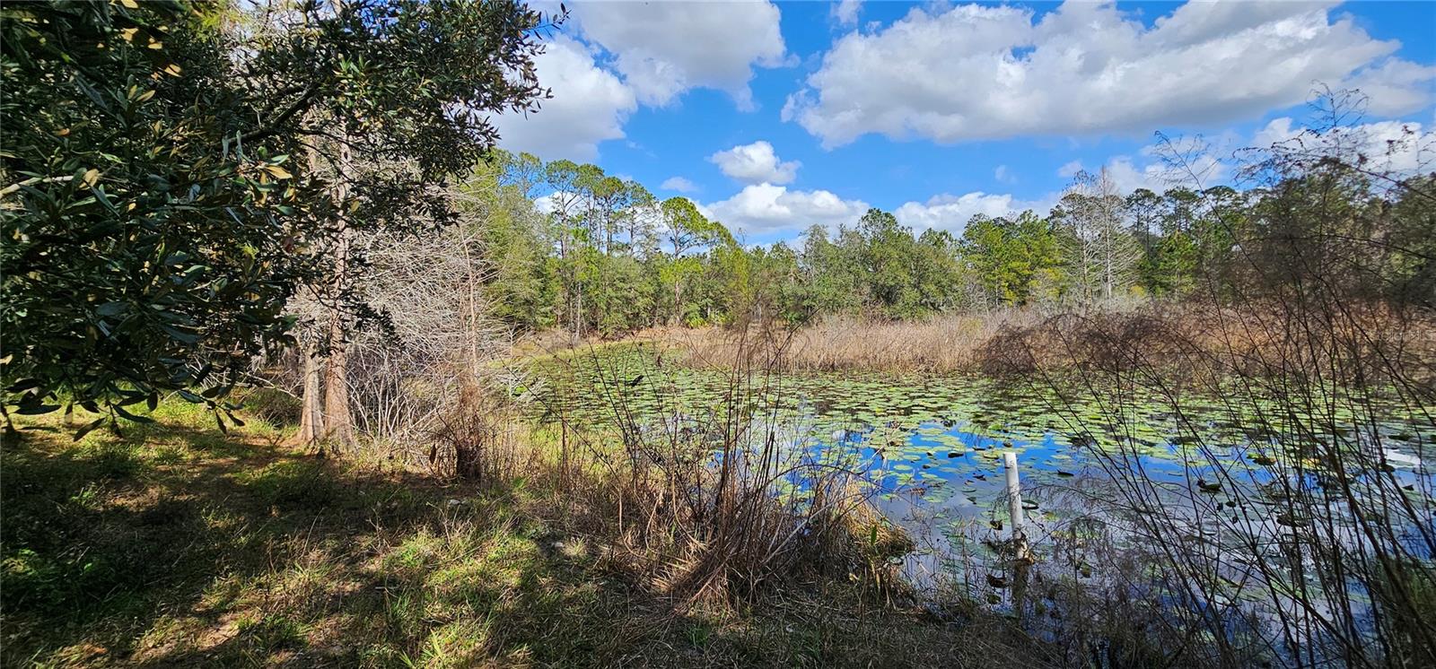 17932 WENDY SUE AVE, HUDSON, FL, 34667