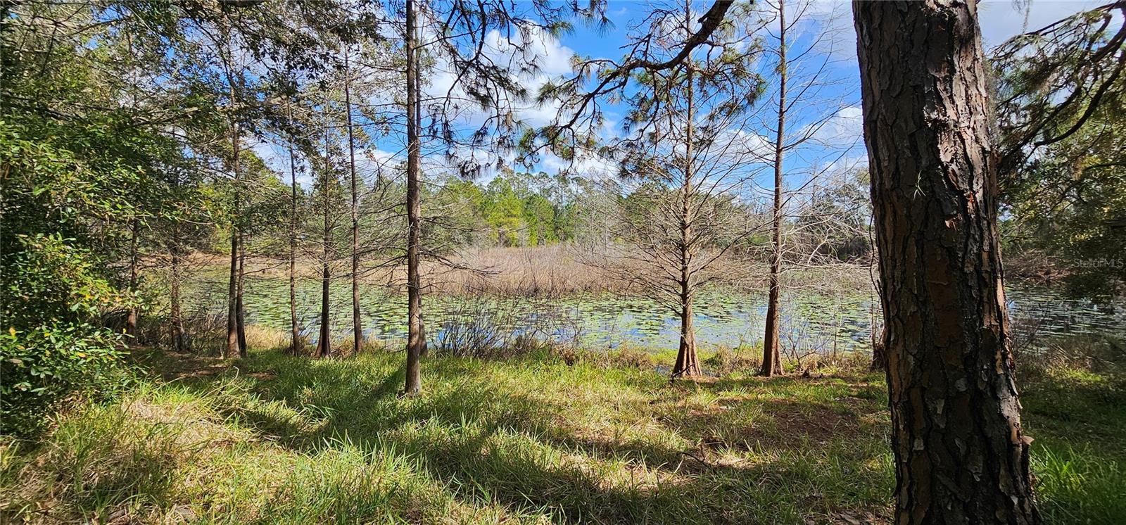 17932 WENDY SUE AVE, HUDSON, FL, 34667