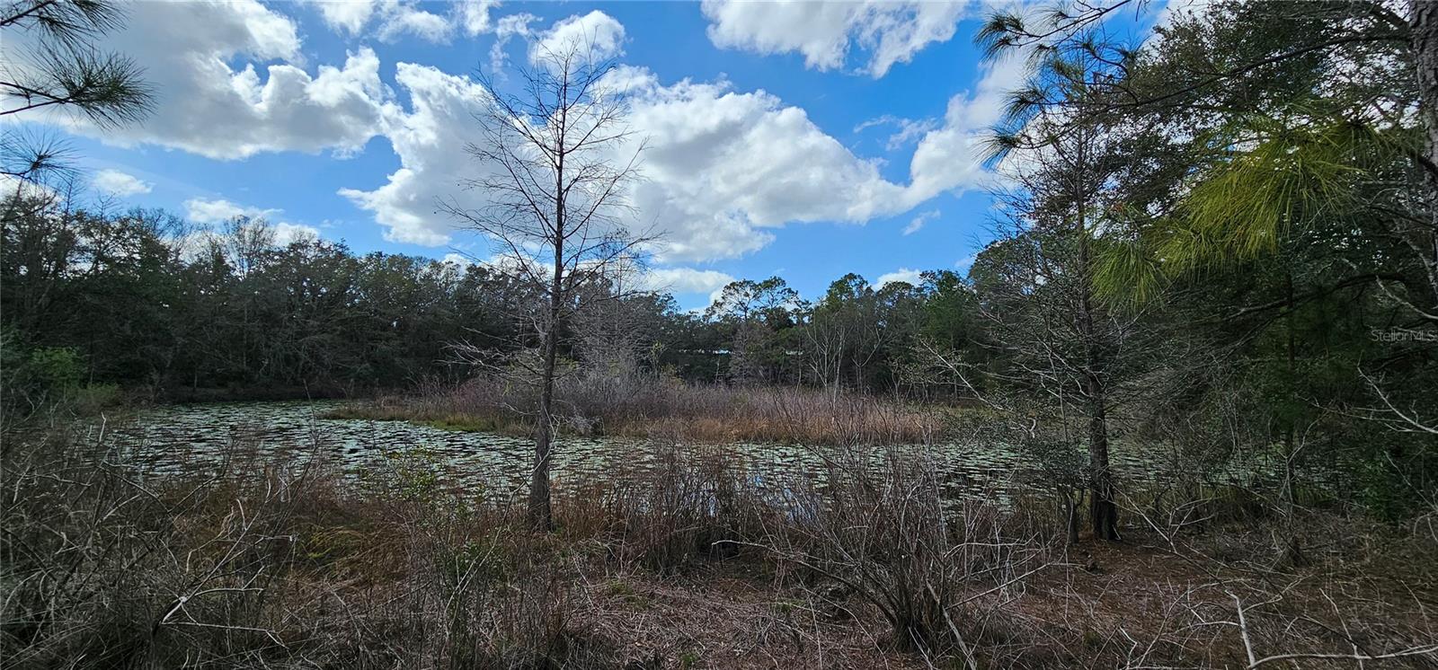 17932 WENDY SUE AVE, HUDSON, FL, 34667