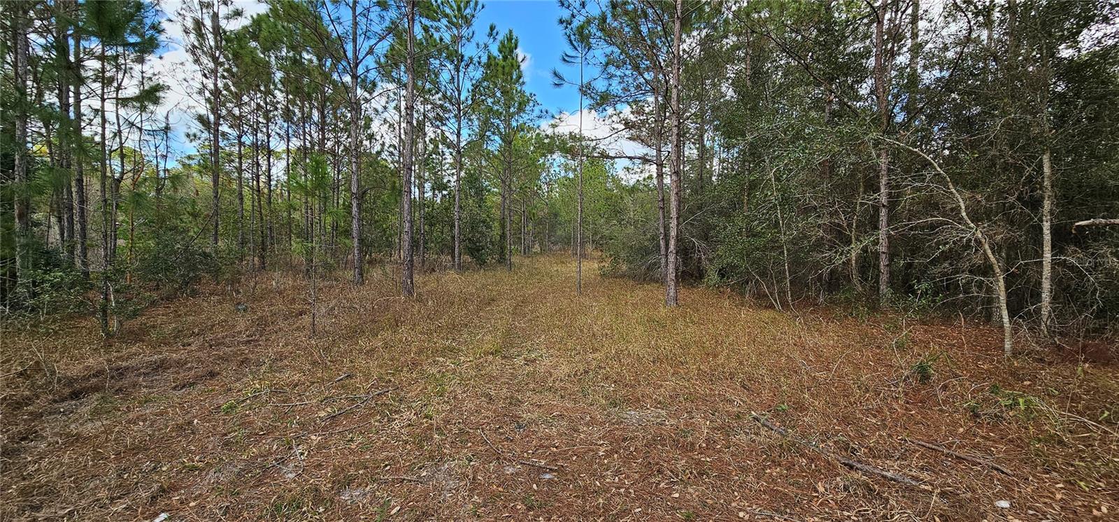 17932 WENDY SUE AVE, HUDSON, FL, 34667