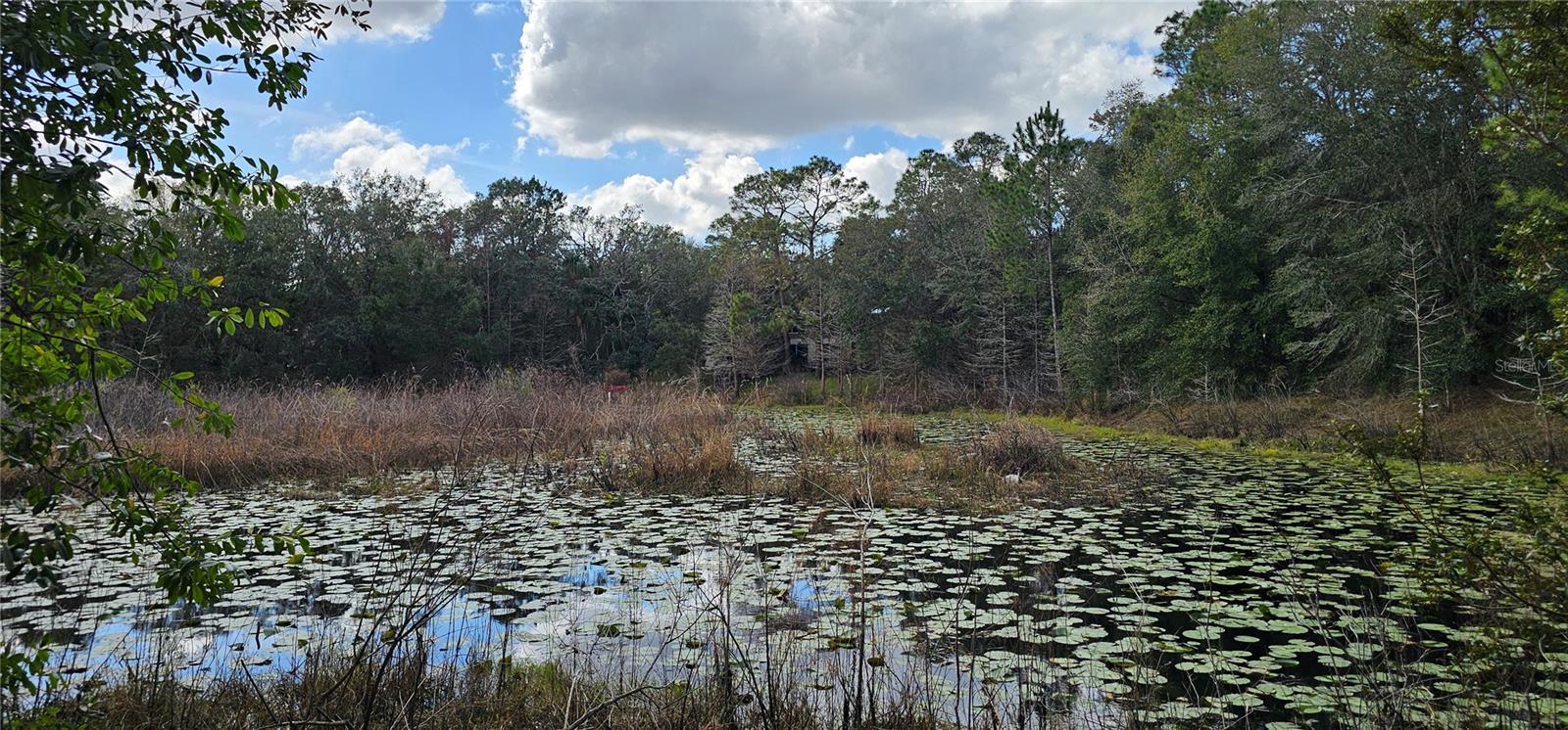 17932 WENDY SUE AVE, HUDSON, FL, 34667