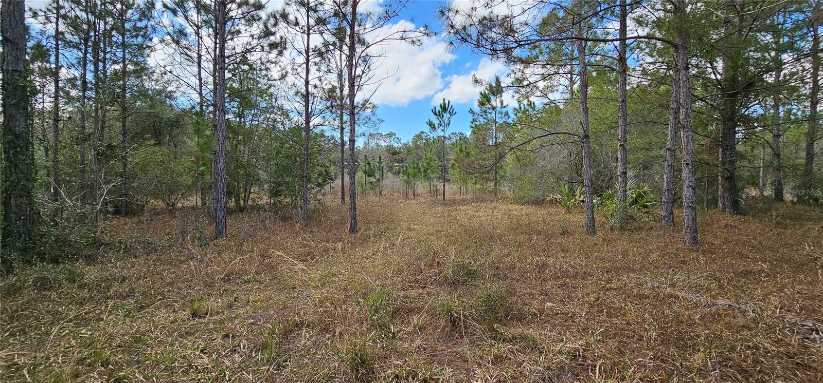 17932 WENDY SUE AVE, HUDSON, FL, 34667