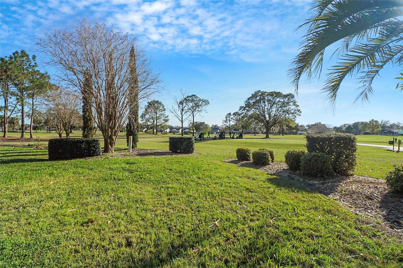 720 CAMINO DEL REY DR, THE VILLAGES, FL, 32159