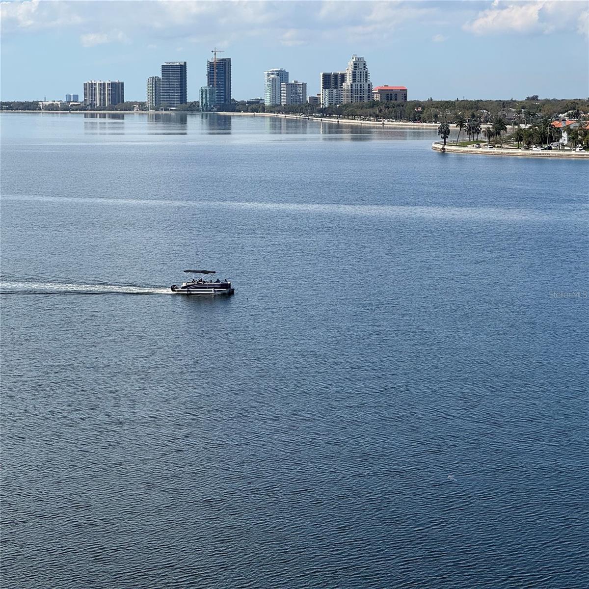 2 ADALIA AVE #803, TAMPA, FL, 33606