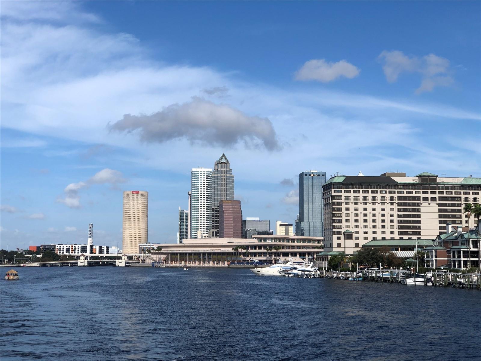 2 ADALIA AVE #803, TAMPA, FL, 33606