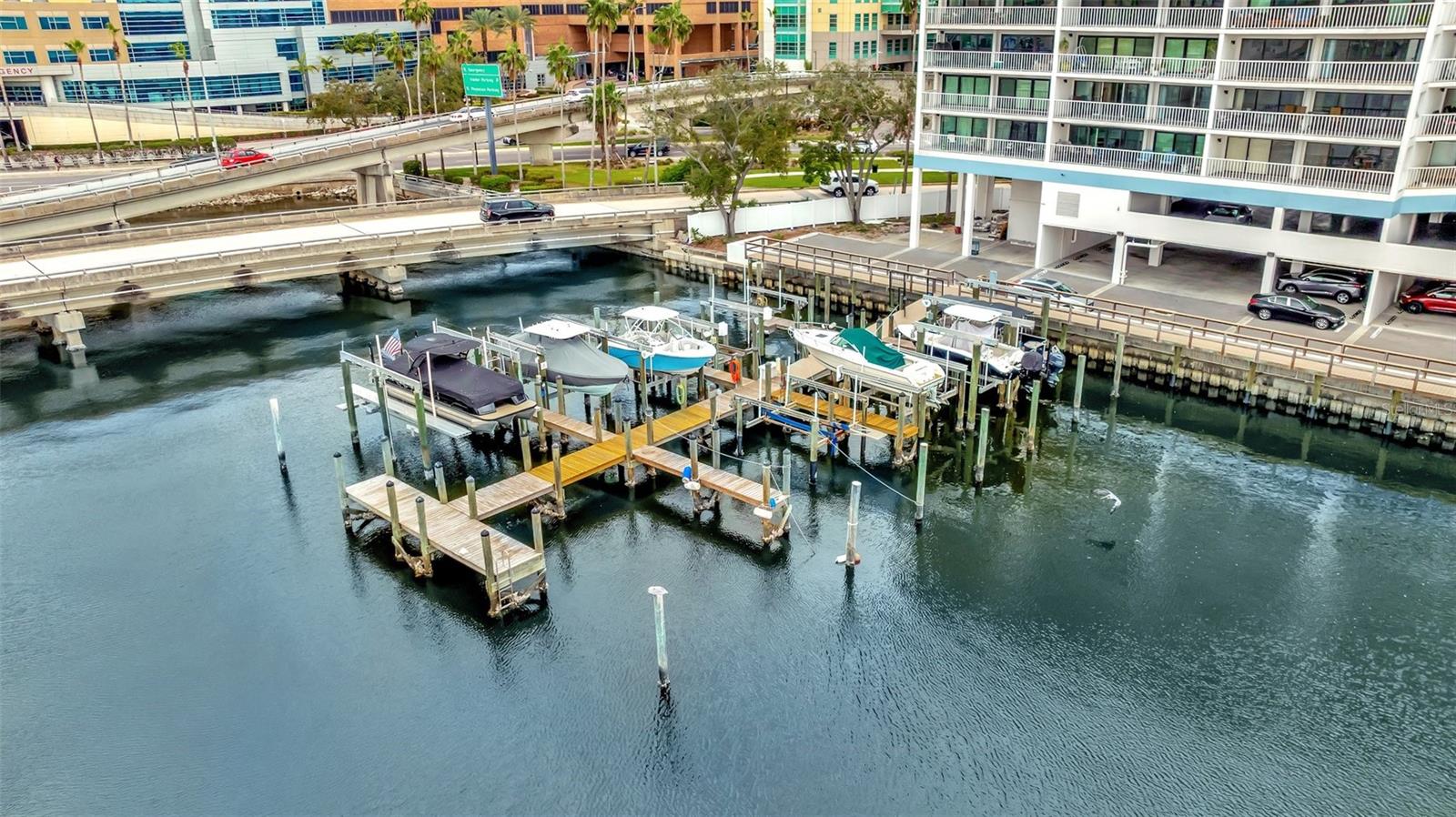 2 ADALIA AVE #803, TAMPA, FL, 33606