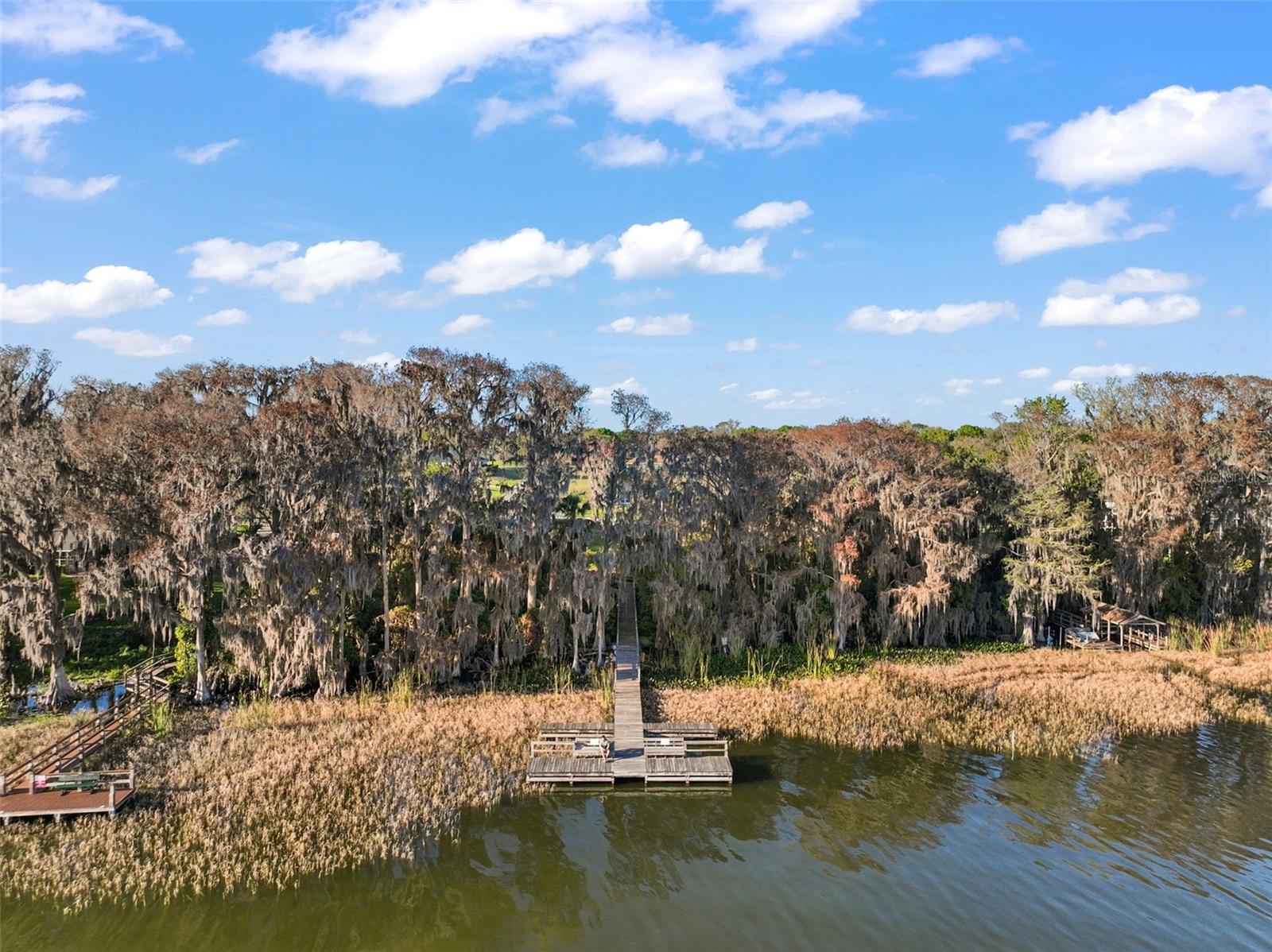 3130 BULKLEY PL, EUSTIS, FL, 32726