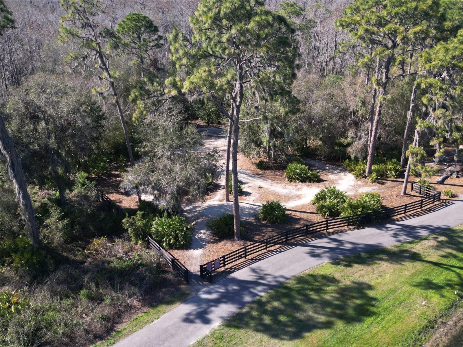 2641 WHITTLER BR, ODESSA, FL, 33556