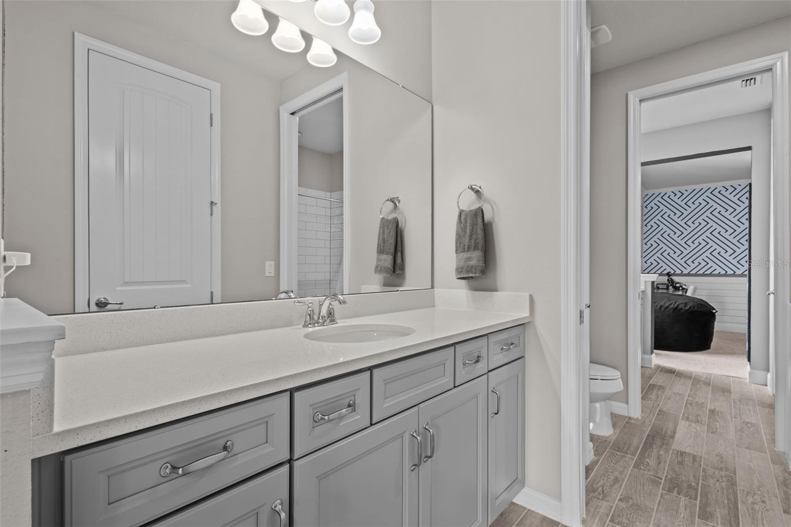 2641 WHITTLER BR, ODESSA, FL, 33556