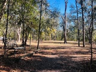 6219 NW 13TH TER, BELL, FL, 32619