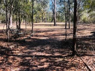 6219 NW 13TH TER, BELL, FL, 32619