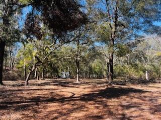 6219 NW 13TH TER, BELL, FL, 32619