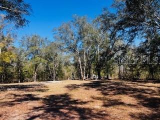 6219 NW 13TH TER, BELL, FL, 32619
