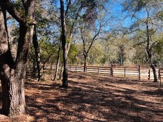 6219 NW 13TH TER, BELL, FL, 32619