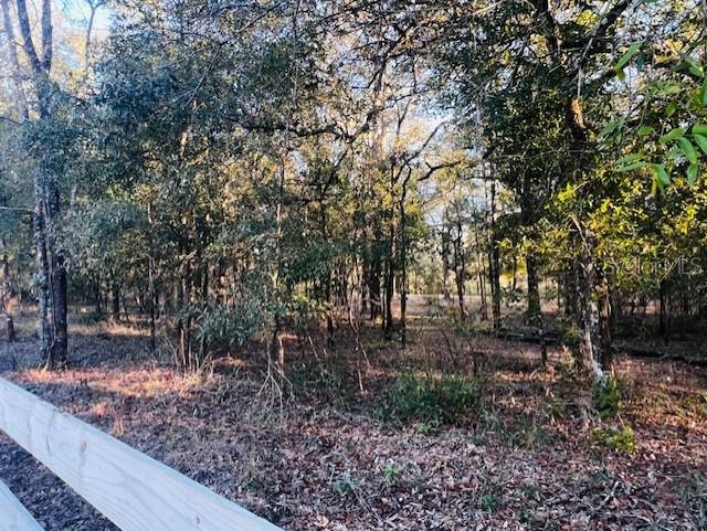 6219 NW 13TH TER, BELL, FL, 32619