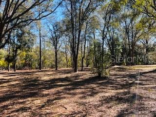 6219 NW 13TH TER, BELL, FL, 32619