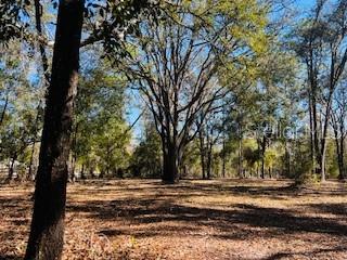 6219 NW 13TH TER, BELL, FL, 32619