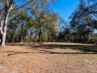 6219 NW 13TH TER, BELL, FL, 32619