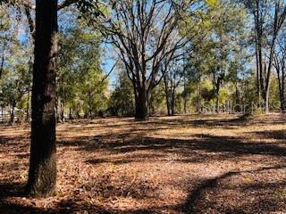 6219 NW 13TH TER, BELL, FL, 32619