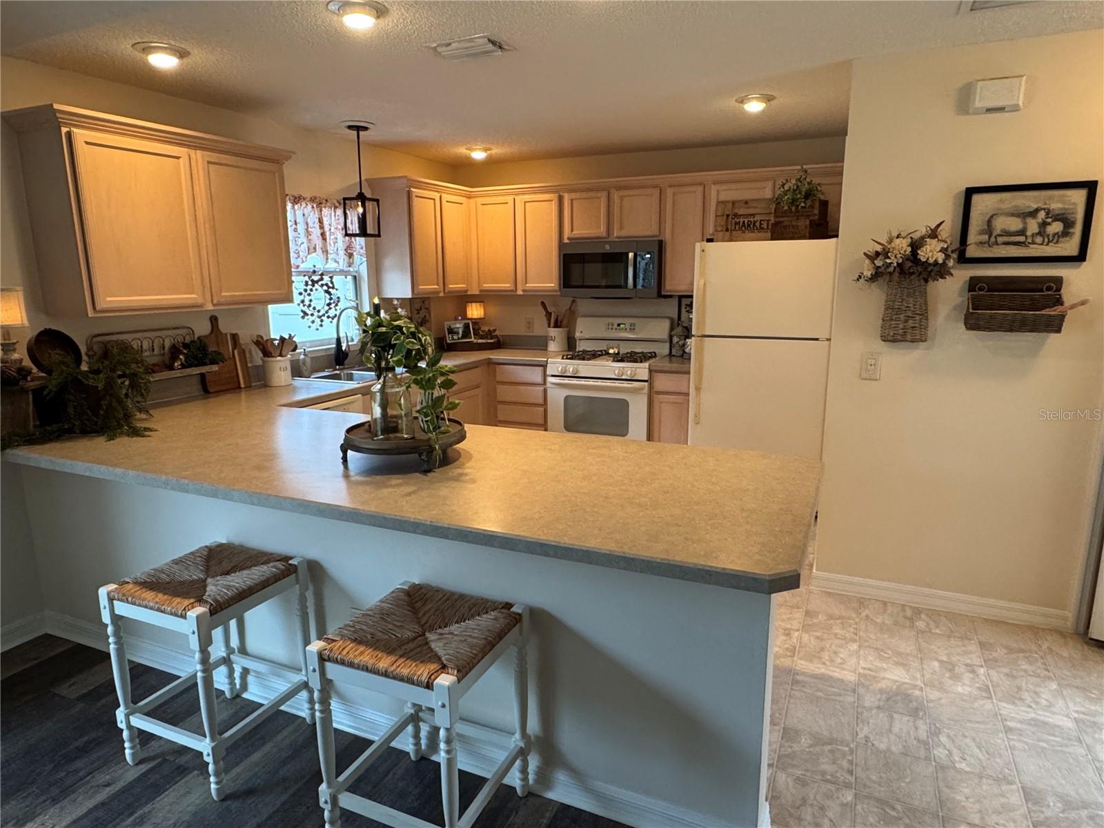 1565 HANCOCK ST, THE VILLAGES, FL, 32162