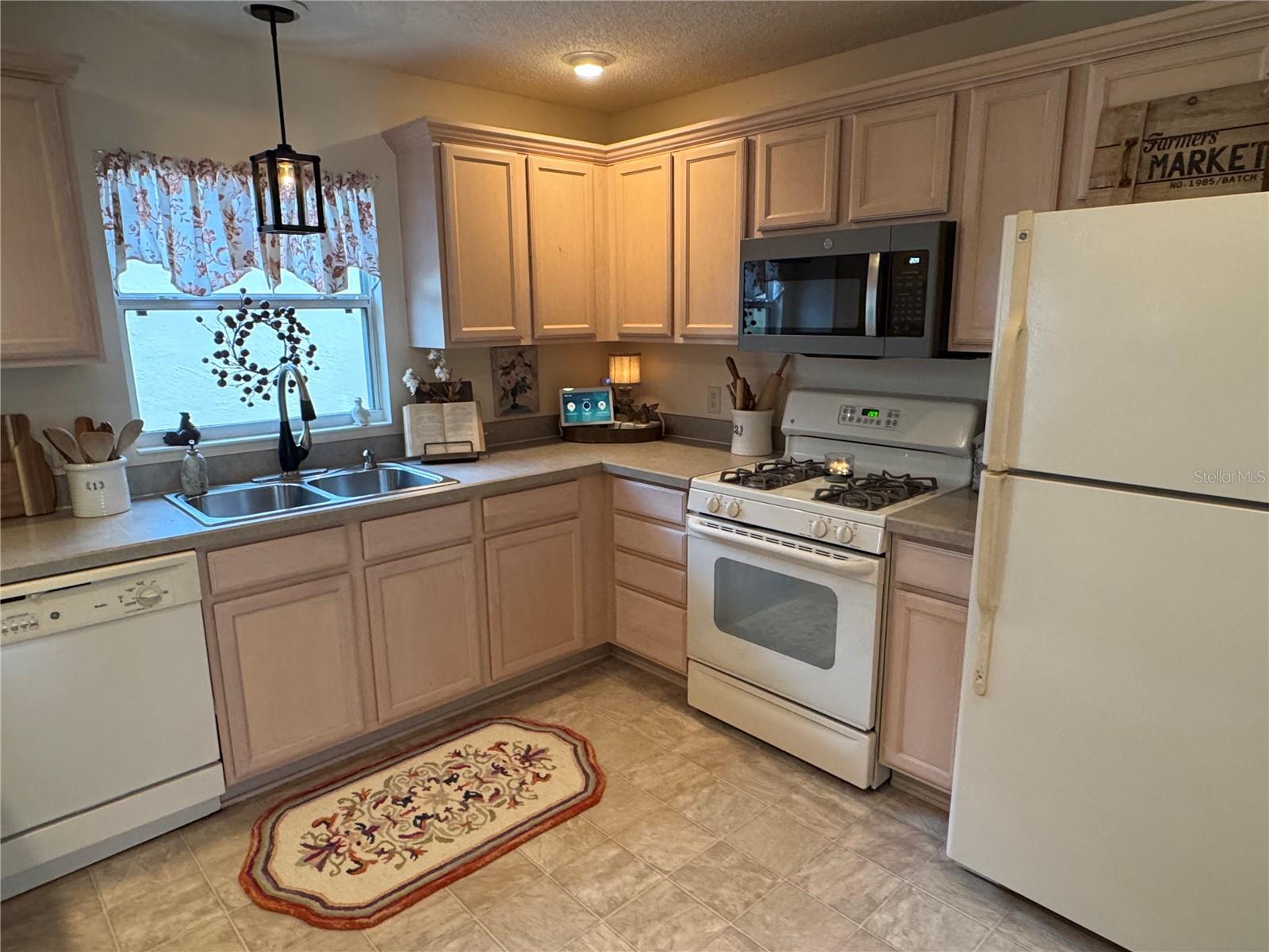 1565 HANCOCK ST, THE VILLAGES, FL, 32162