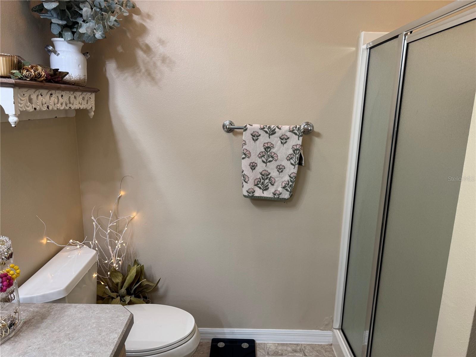 1565 HANCOCK ST, THE VILLAGES, FL, 32162