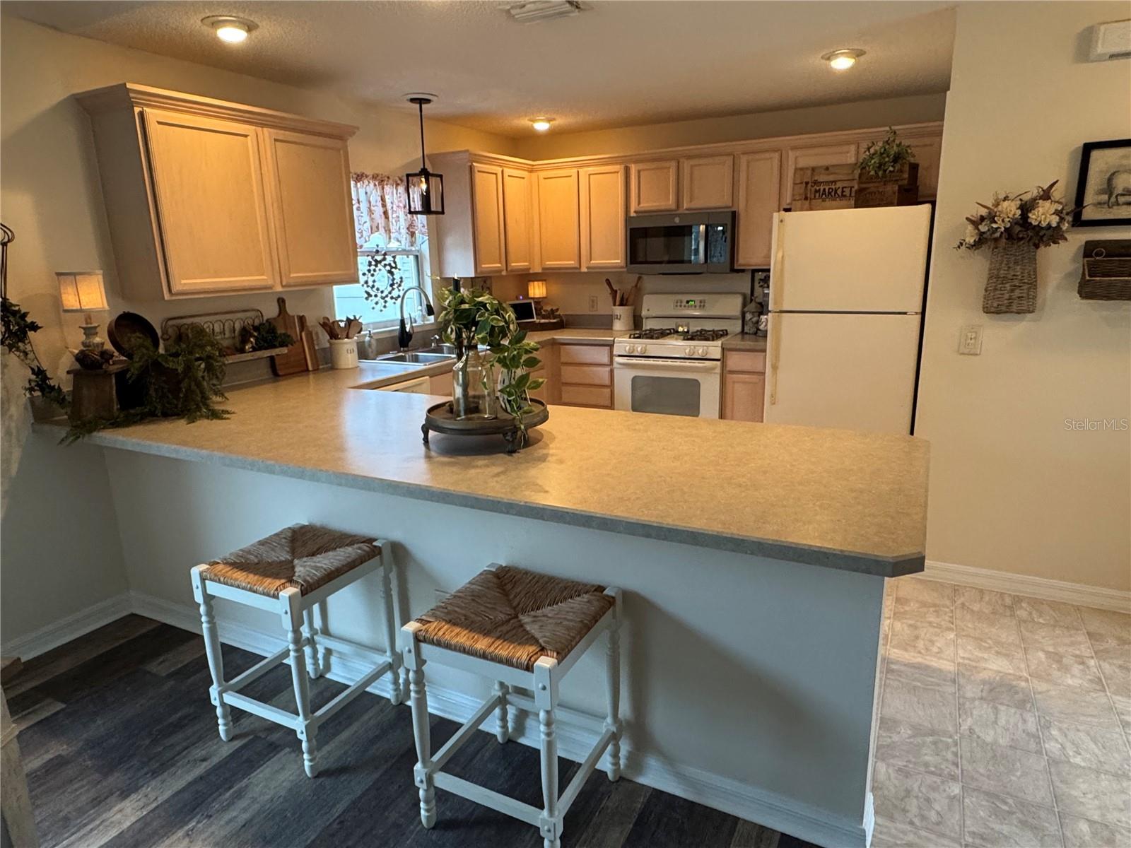 1565 HANCOCK ST, THE VILLAGES, FL, 32162
