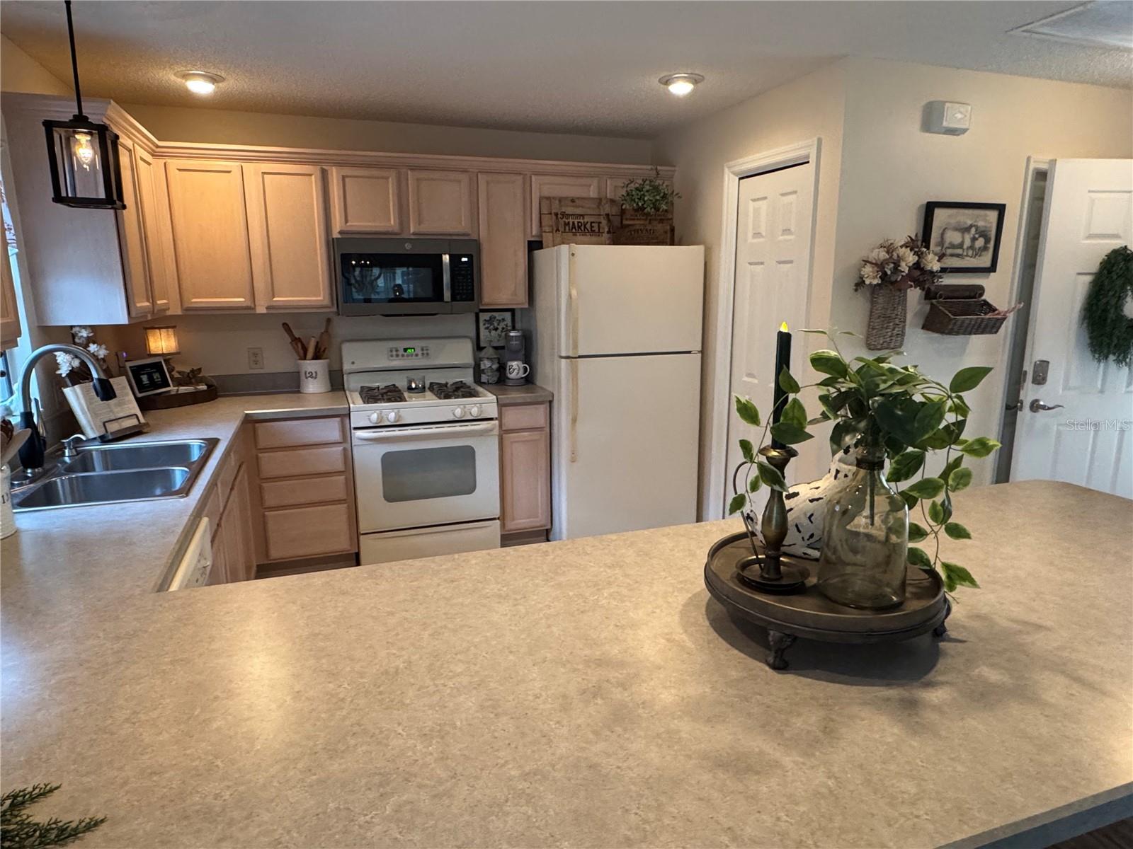 1565 HANCOCK ST, THE VILLAGES, FL, 32162