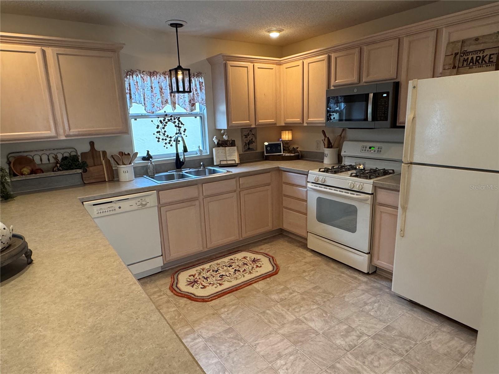 1565 HANCOCK ST, THE VILLAGES, FL, 32162
