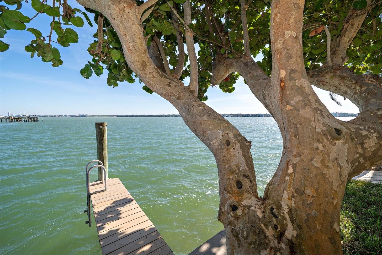 447 22ND ST, BELLEAIR BEACH, FL, 33786