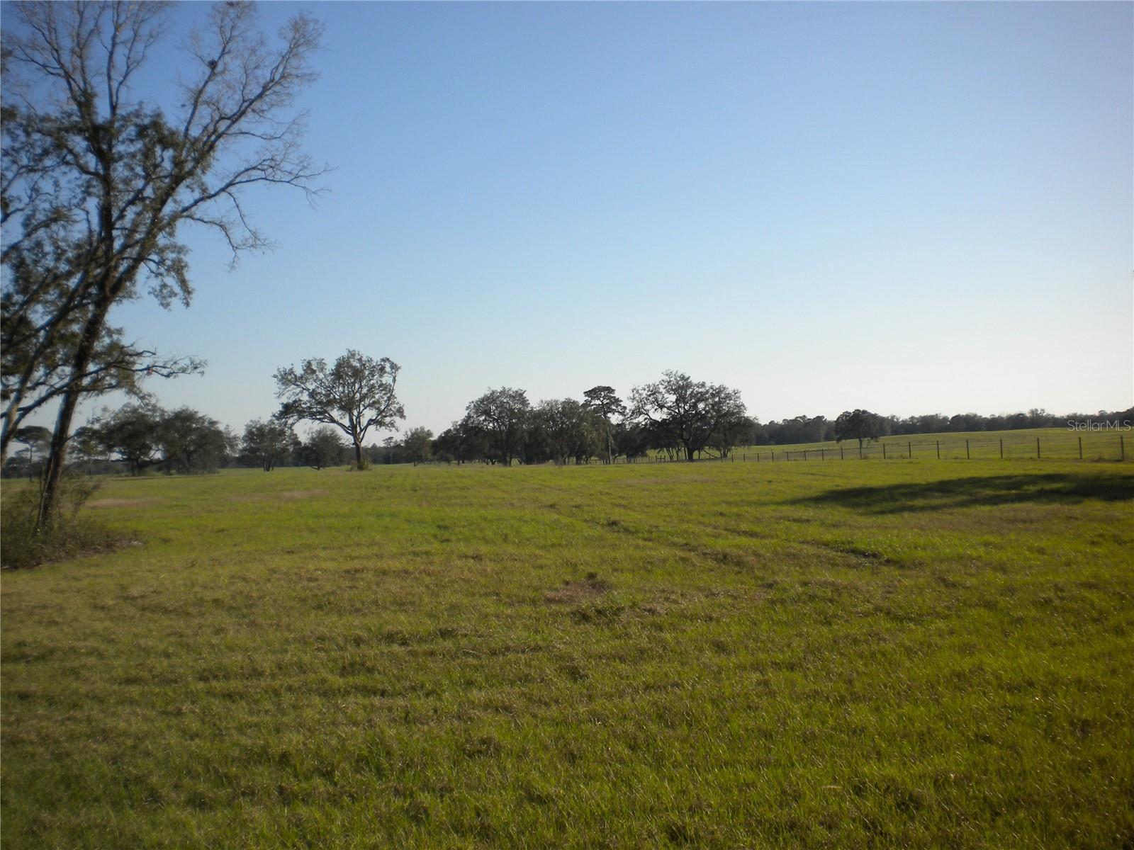 Lot 22 SW TIGER LAKE BLVD, DUNNELLON, FL, 34431