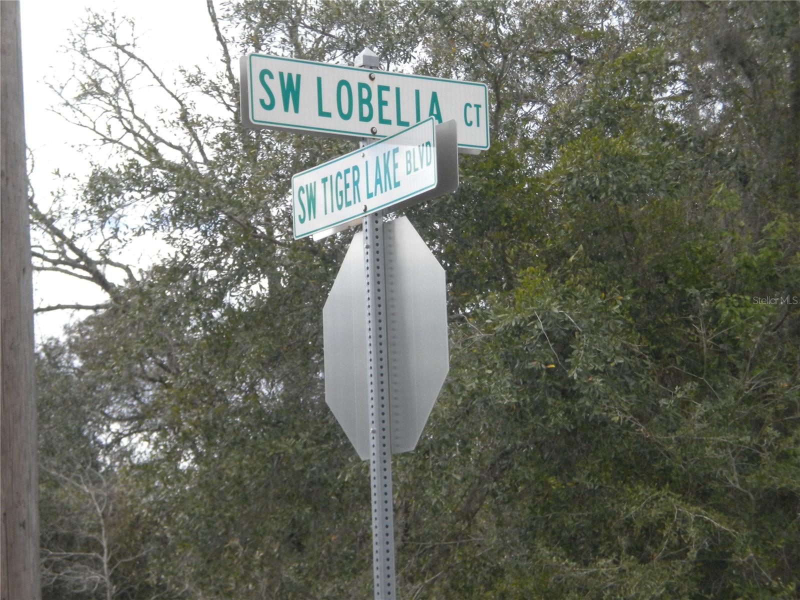 Lot 22 SW TIGER LAKE BLVD, DUNNELLON, FL, 34431