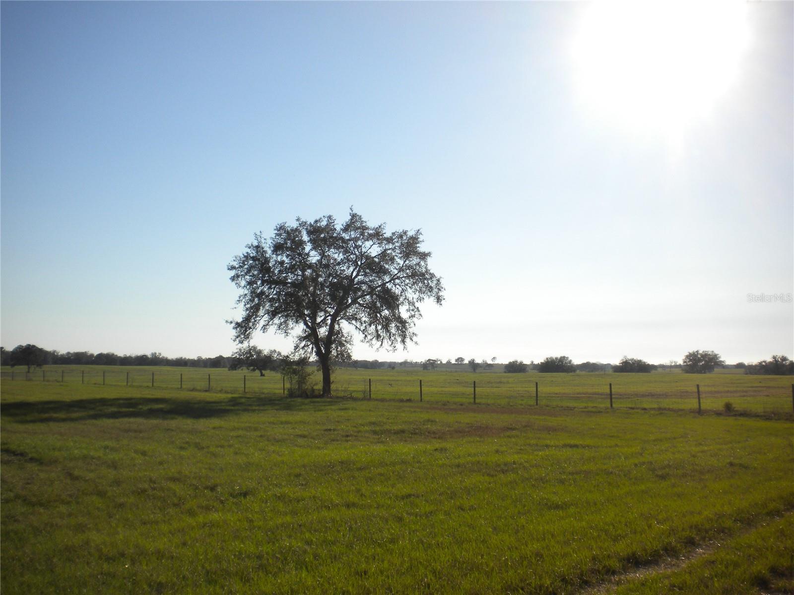 Lot 22 SW TIGER LAKE BLVD, DUNNELLON, FL, 34431