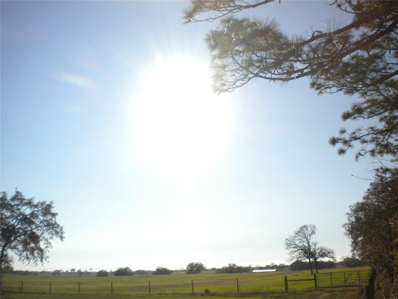 Lot 22 SW TIGER LAKE BLVD, DUNNELLON, FL, 34431