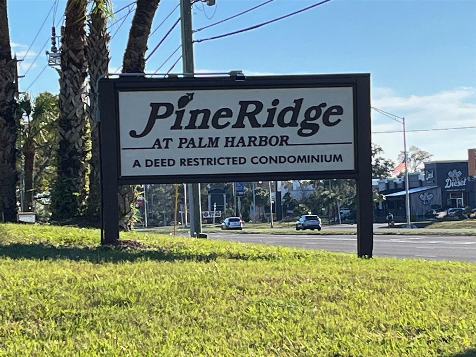 1725 PINE RIDGE WAY E #C, PALM HARBOR, FL, 34684
