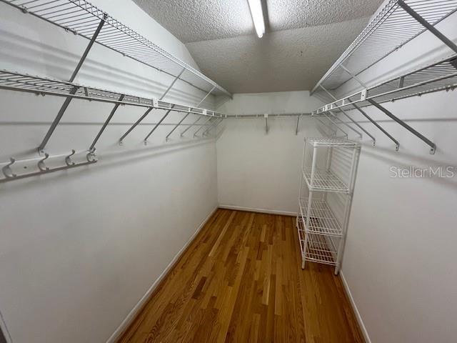 1725 PINE RIDGE WAY E #C, PALM HARBOR, FL, 34684