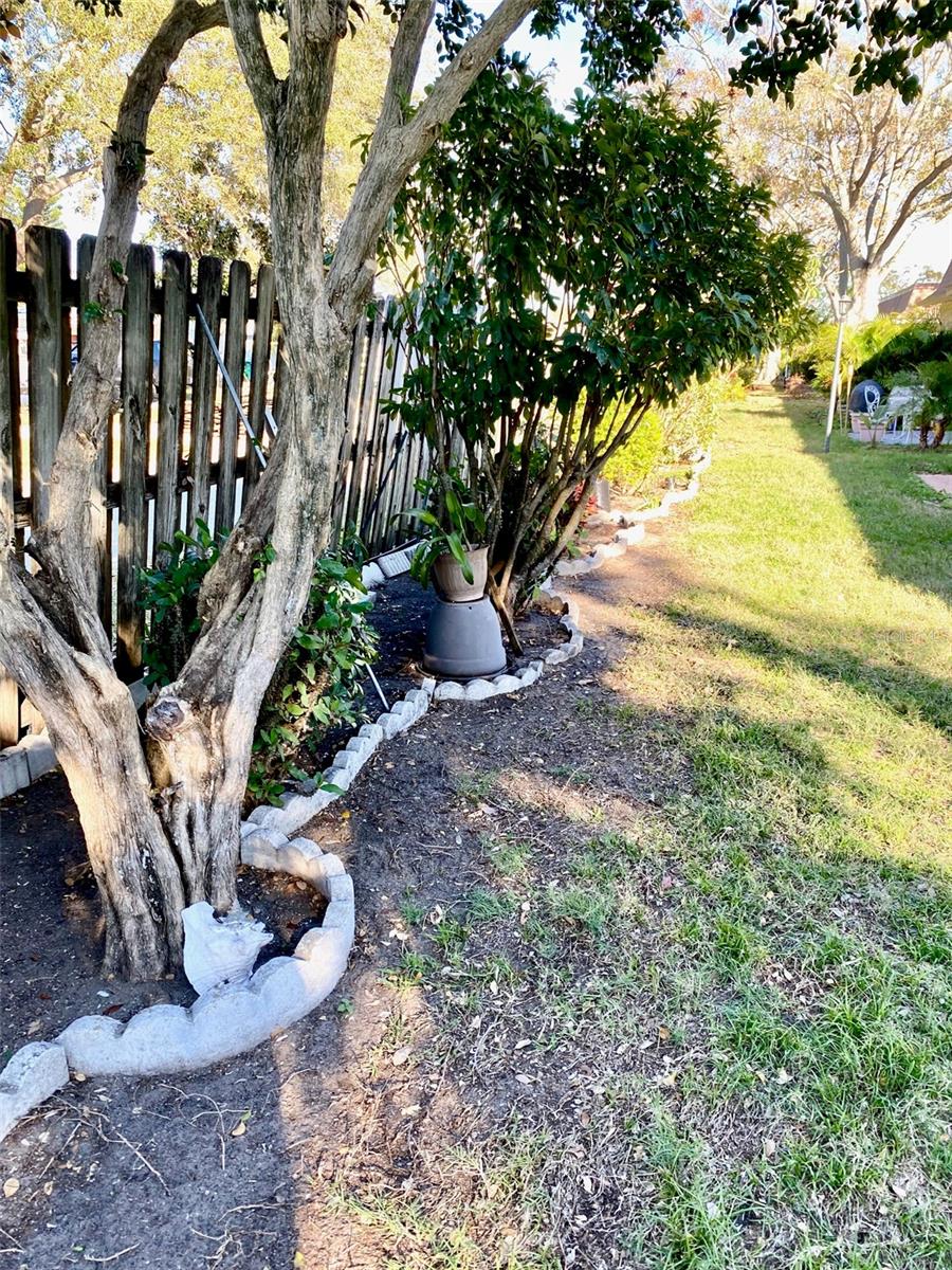 1616 S LAKE AVE #4, CLEARWATER, FL, 33756