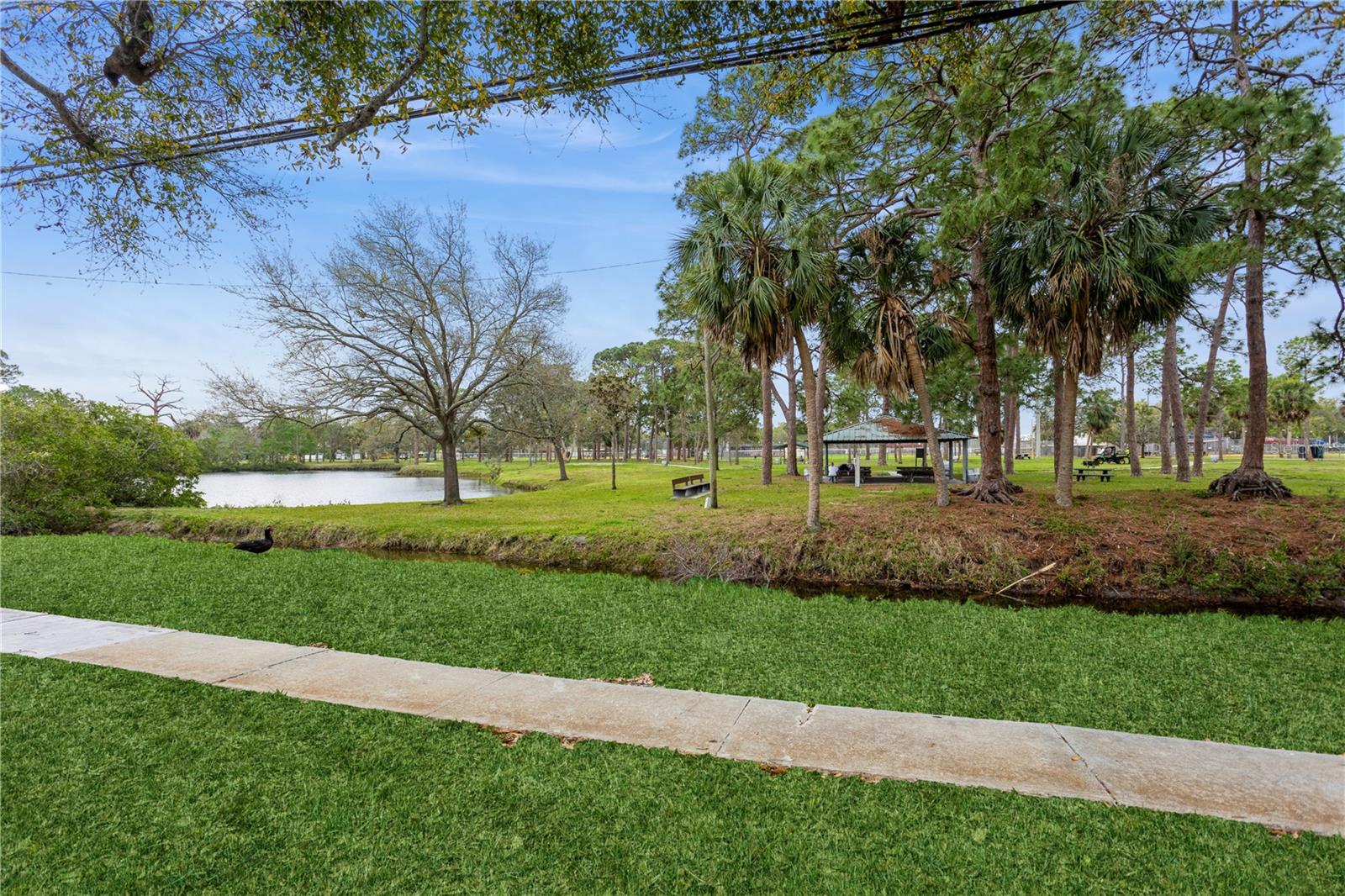 800 71ST AVE N #8, ST PETERSBURG, FL, 33702
