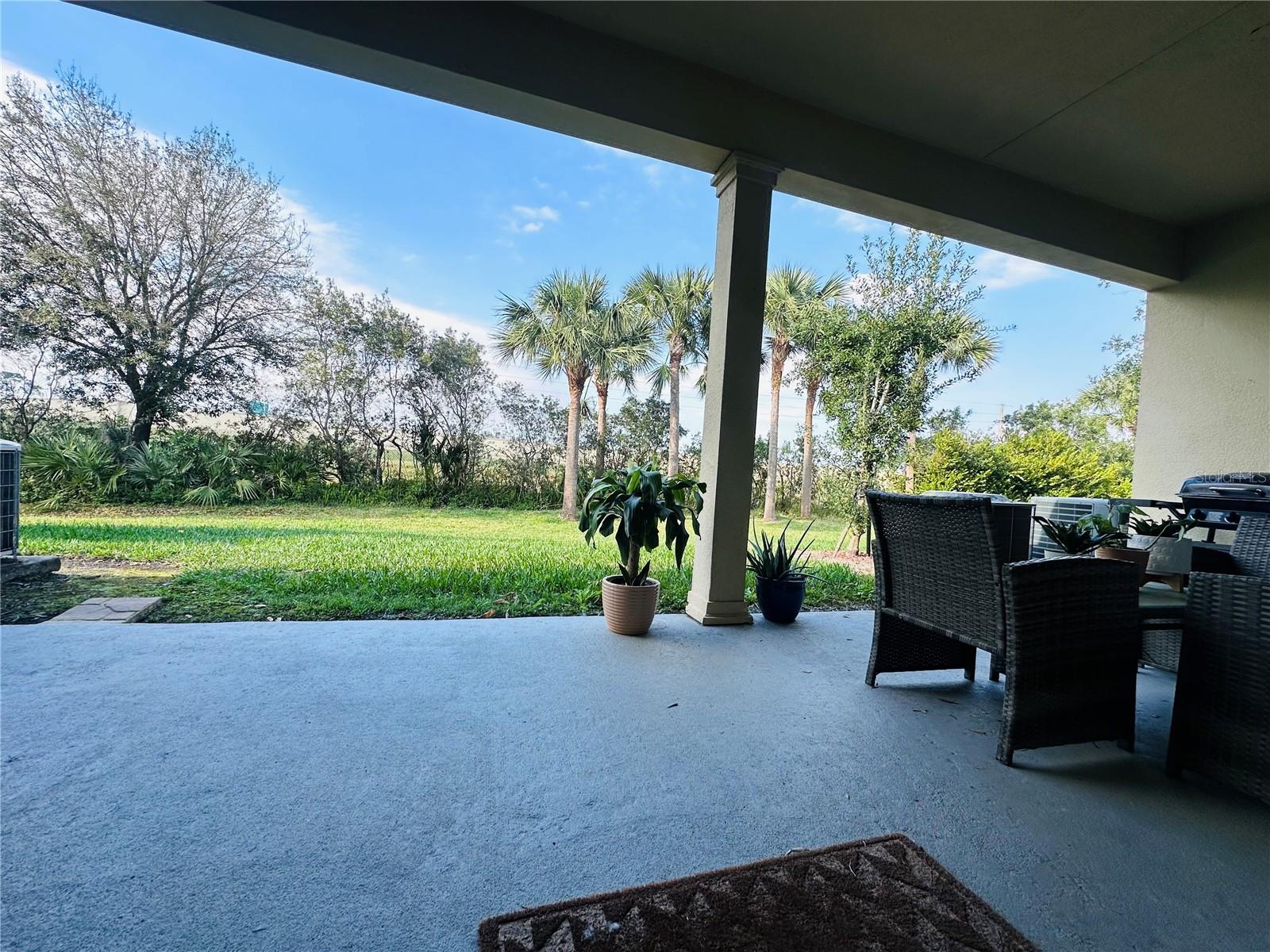 1509 PORTOFINO MEADOWS BLVD, ORLANDO, FL, 32824