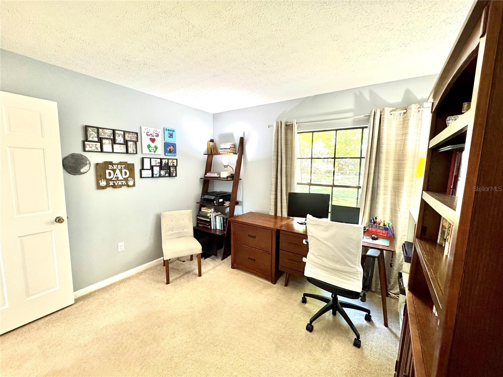 903 SETTER CT, SEFFNER, FL, 33584