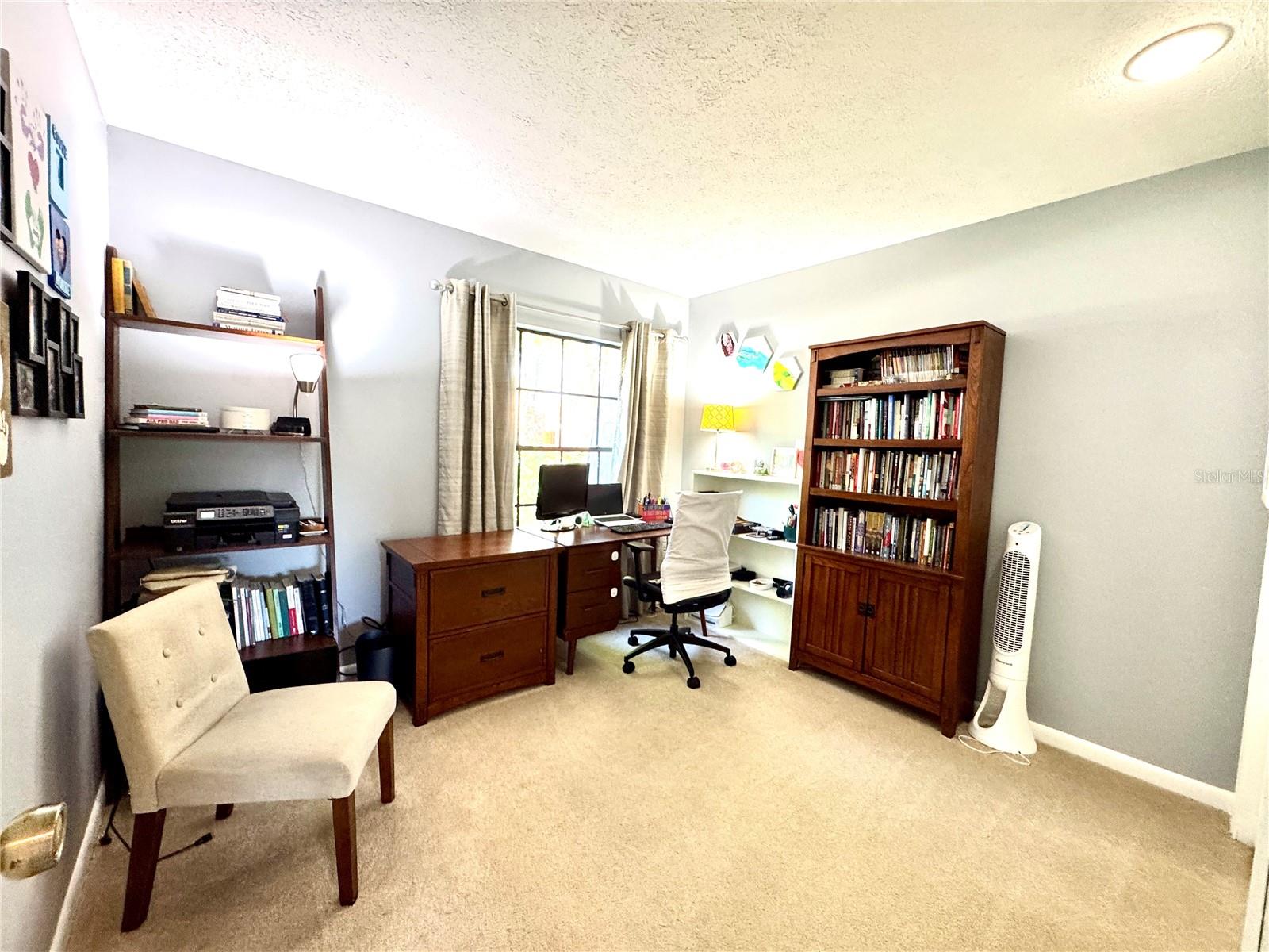 903 SETTER CT, SEFFNER, FL, 33584