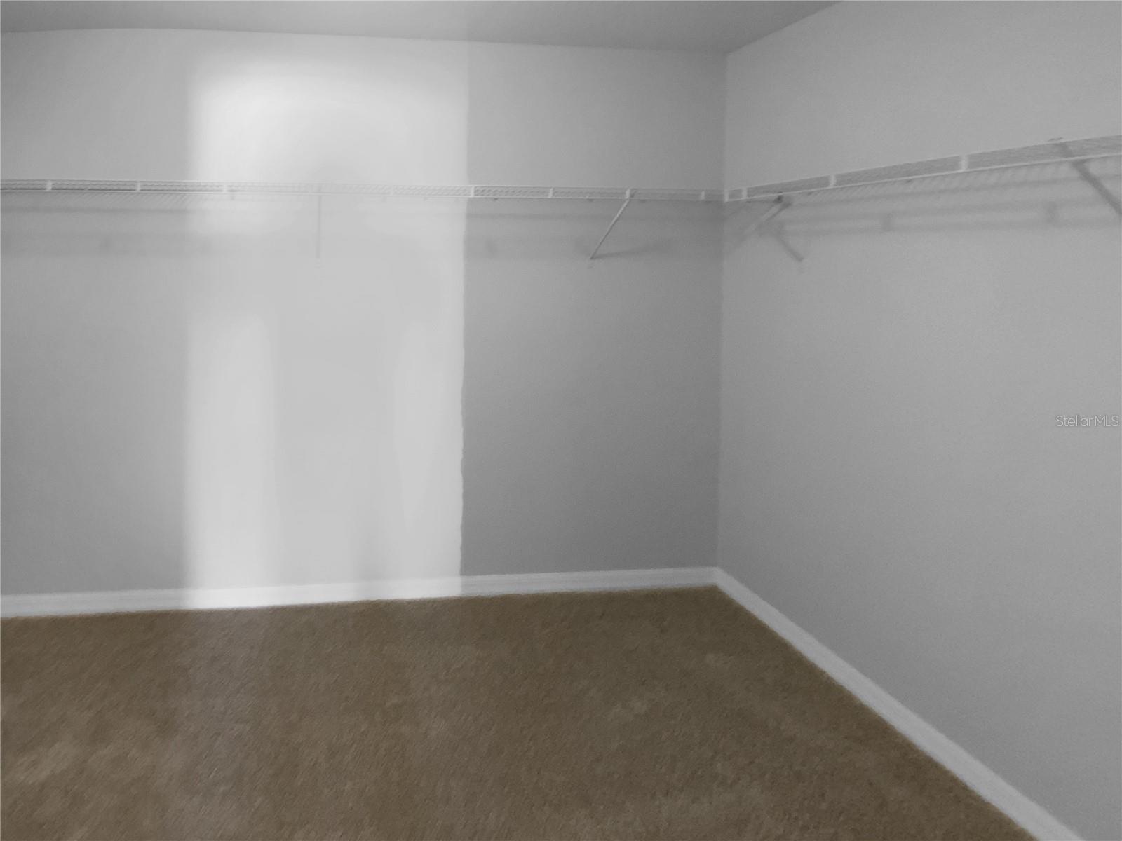 36017 STABLE WILK AVE, ZEPHYRHILLS, FL, 33541