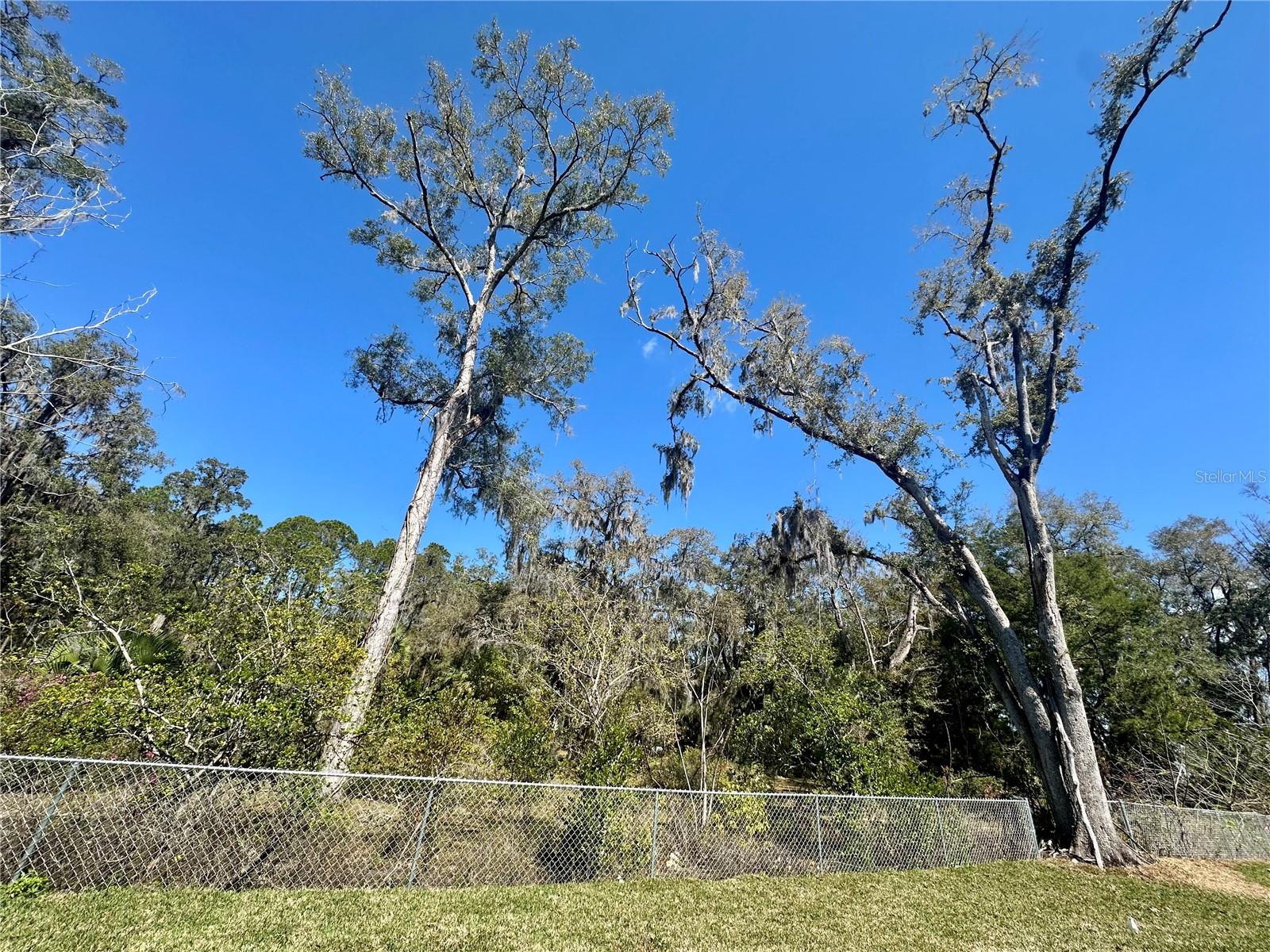 620 NW 6TH TER, WILLISTON, FL, 32696