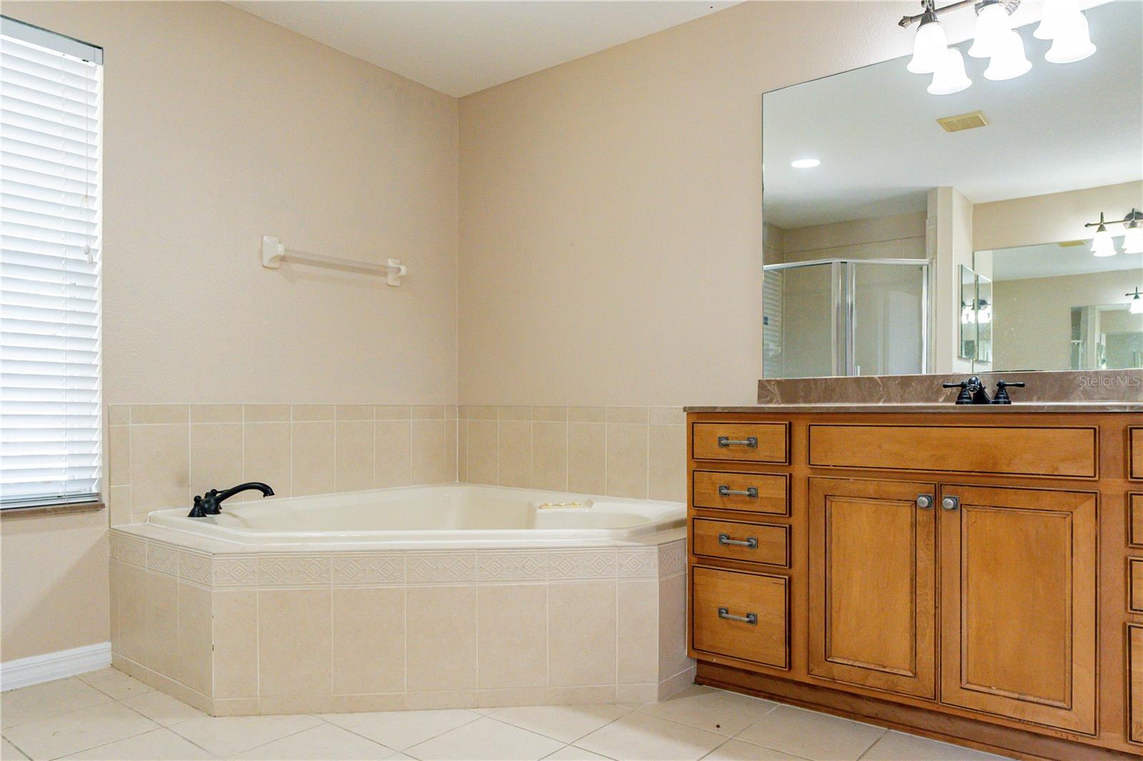 11080 TAEDA DR, ORLANDO, FL, 32832