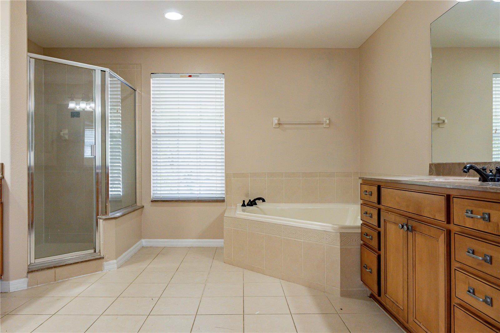 11080 TAEDA DR, ORLANDO, FL, 32832