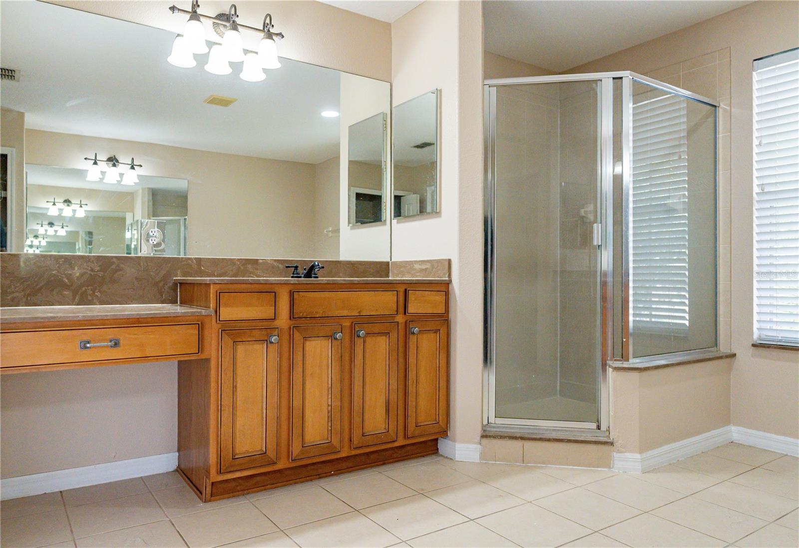 11080 TAEDA DR, ORLANDO, FL, 32832