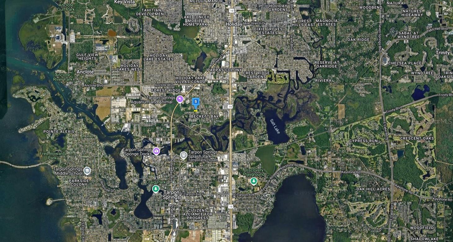 1559 ELMWOOD AVE, TARPON SPRINGS, FL, 34689