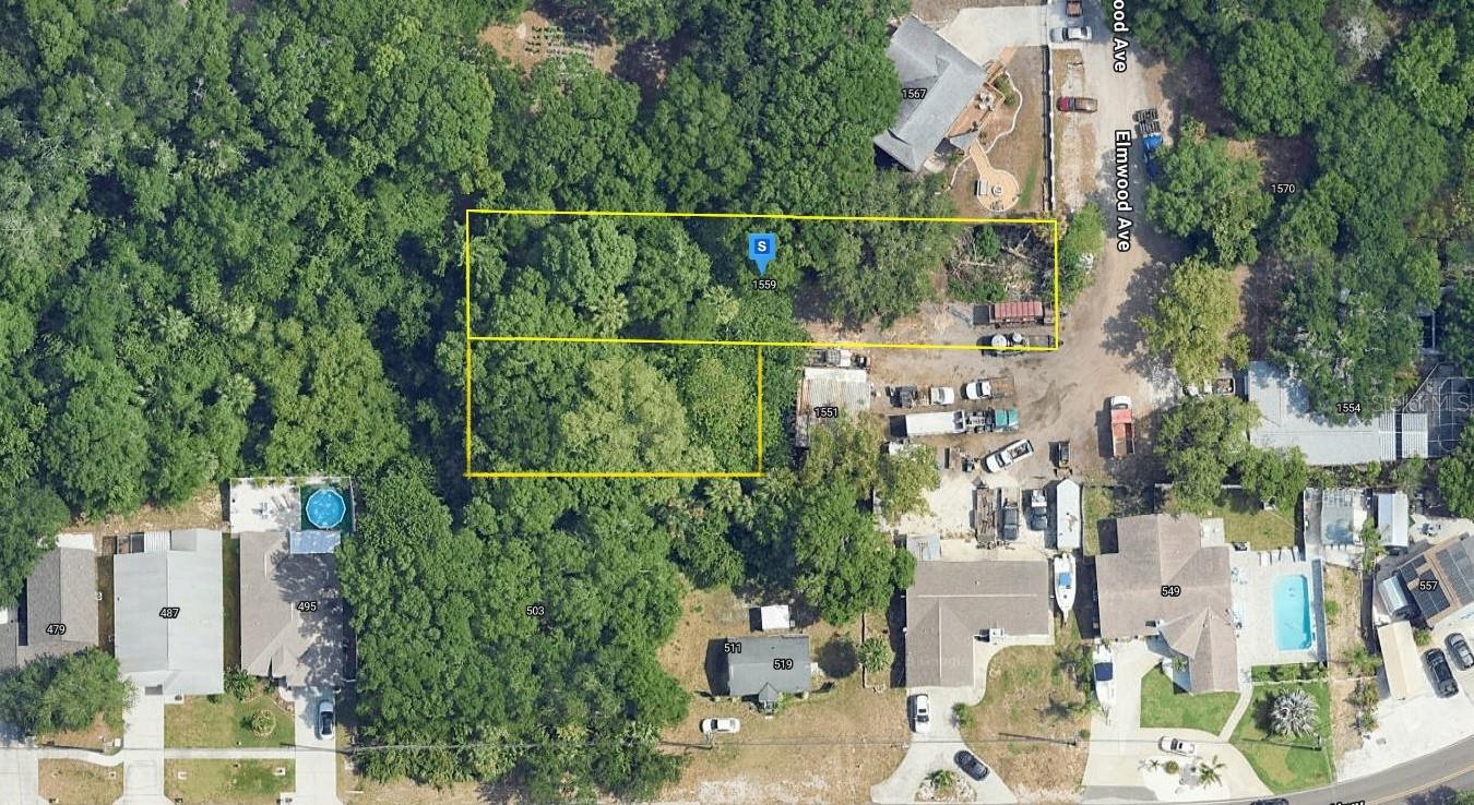 1559 ELMWOOD AVE, TARPON SPRINGS, FL, 34689