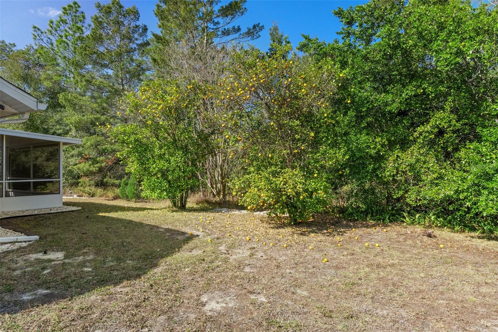 16 GERBERA CT, HOMOSASSA, FL, 34446