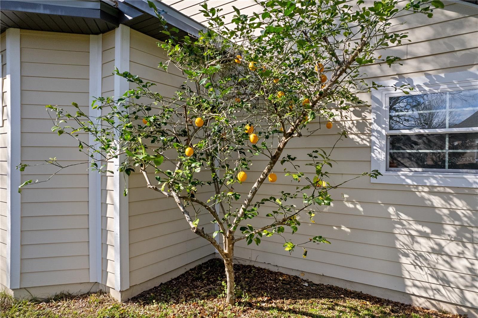 8157 SW 73 LN, GAINESVILLE, FL, 32608